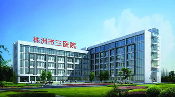 株洲市三醫院 微創技術開啟新篇章，賦能新材料技術開發服務